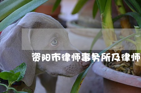 资阳市律师事务所及律师公告信息 资阳市律师事务所及律师公告信息