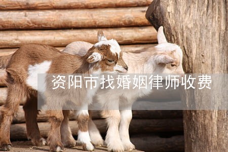 资阳市找婚姻律师收费 资阳市找婚姻律师收费