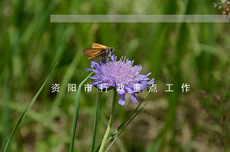 资阳市行政重点工作 资阳市行政重点工作