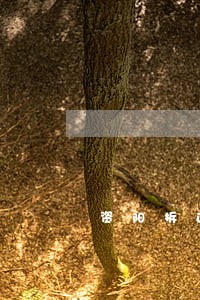 资阳拆迁安置律师咨询电话 资阳拆迁安置律师咨询电话