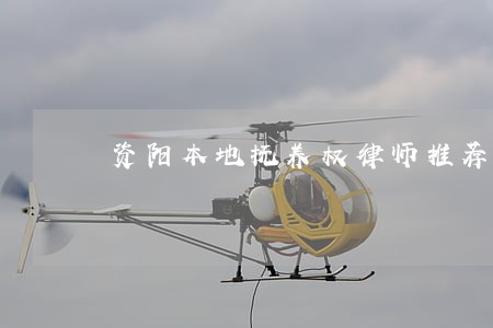 资阳本地抚养权律师推荐