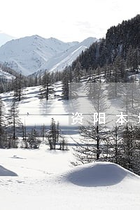 资阳本地离婚律师收费 资阳本地离婚律师收费