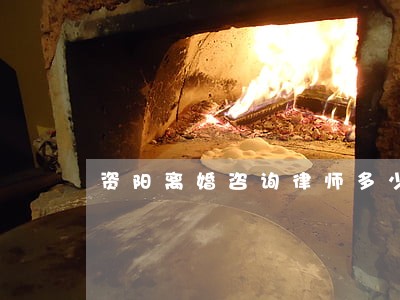 资阳离婚咨询律师多少钱 资阳离婚咨询律师多少钱