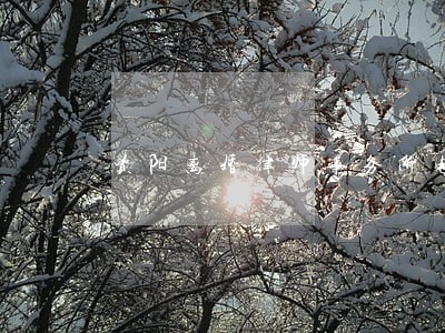 资阳离婚律师事务所电话