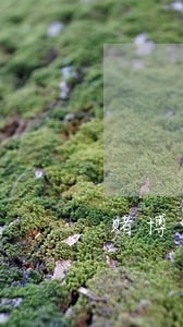 赌博信用卡逾期两个月了怎么办 赌博信用卡逾期两个月了怎么办