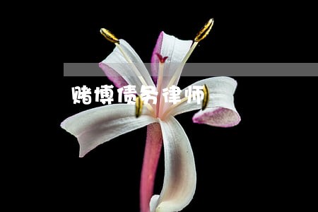 赌博债务律师 赌博债务律师