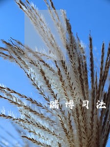 赌博司法冻结去哪里解 赌博司法冻结去哪里解