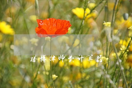 赌博律师费计算器 赌博律师费计算器