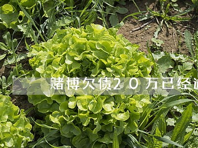 赌博欠债20万已经逾期的后果 赌博欠债20万已经逾期的后果