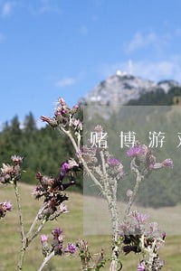赌博游戏推广赚佣金违法吗 赌博游戏推广赚佣金违法吗