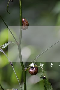 赌路多久算违法
