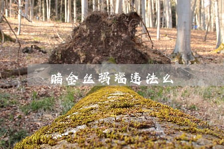 赌金丝玛瑙违法么 赌金丝玛瑙违法么