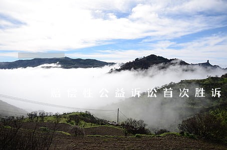 赔偿性公益诉讼首次胜诉的启示 赔偿性公益诉讼首次胜诉的启示