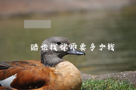 赔偿找律师要多少钱 赔偿找律师要多少钱