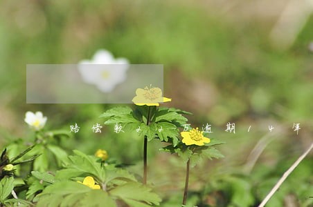 赔偿款22万逾期14年得还多少 赔偿款22万逾期14年得还多少