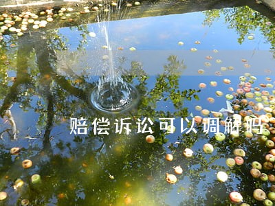 赔偿诉讼可以调解吗 赔偿诉讼可以调解吗