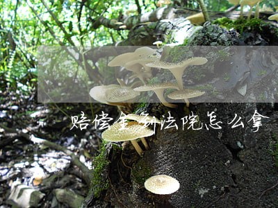 赔偿金到法院怎么拿 赔偿金到法院怎么拿