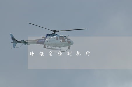 赔偿金强制执行 赔偿金强制执行