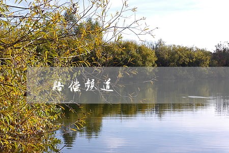 赔偿频道 赔偿频道