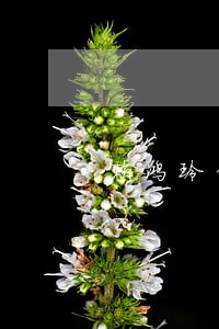 赖鸿玲律师解答了钱借出去了 赖鸿玲律师解答了钱借出去了