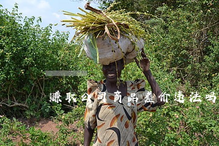 赚取公司商品差价违法吗 赚取公司商品差价违法吗