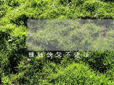 赚钱快又不违法 赚钱快又不违法