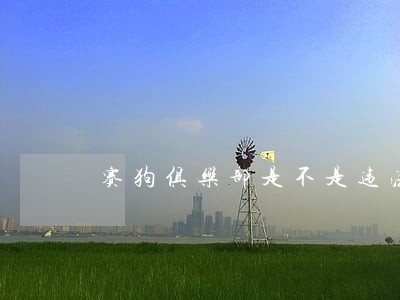 赛狗俱乐部是不是违法的 赛狗俱乐部是不是违法的