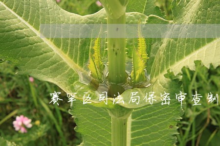 赛罕区司法局保密审查制度 赛罕区司法局保密审查制度
