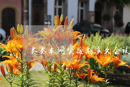 赛赛车网贷逾期多久会被立案 赛赛车网贷逾期多久会被立案