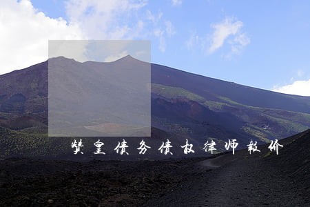 赞皇债务债权律师报价 赞皇债务债权律师报价
