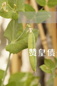 赞皇债务纠纷律师排名 赞皇债务纠纷律师排名