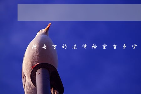 赠与书的法律份量有多少 赠与书的法律份量有多少