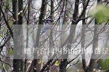 赠与合同纠纷的律师费是多少 赠与合同纠纷的律师费是多少