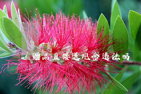 赠品直接送现金违法吗