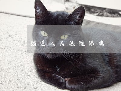 赠送人民法院锦旗