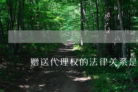 赠送代理权的法律关系是怎样的 赠送代理权的法律关系是怎样的