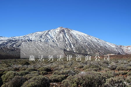 赢法务法律咨询公司 赢法务法律咨询公司