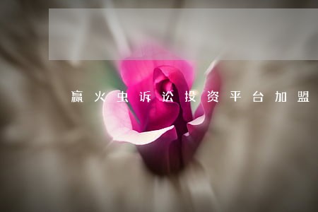 赢火虫诉讼投资平台加盟费 赢火虫诉讼投资平台加盟费