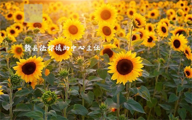 赣县法律援助中心主任