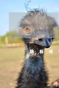 赣县法律援助中心电话 赣县法律援助中心电话
