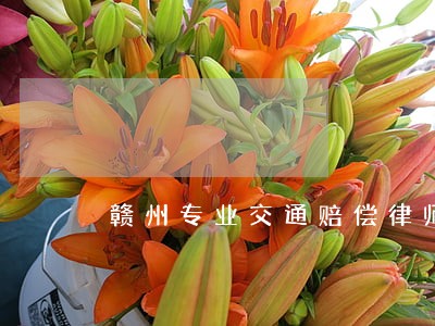赣州专业交通赔偿律师费用 赣州专业交通赔偿律师费用
