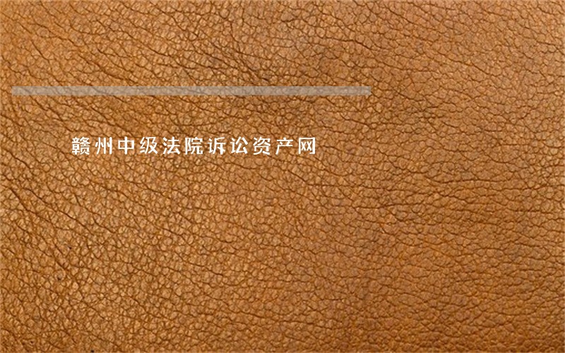 赣州中级法院诉讼资产网