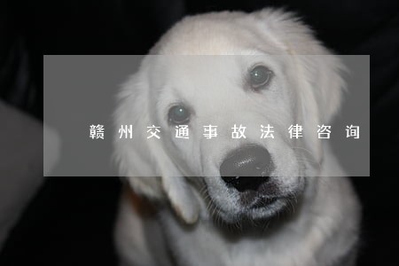 赣州交通事故法律咨询 赣州交通事故法律咨询
