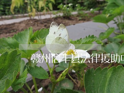 赣州信丰县法律援助中心
