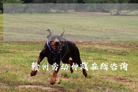 赣州劳动仲裁在线咨询 赣州劳动仲裁在线咨询