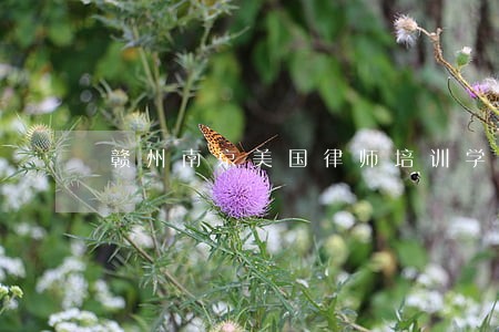 赣州南京美国律师培训学校 赣州南京美国律师培训学校