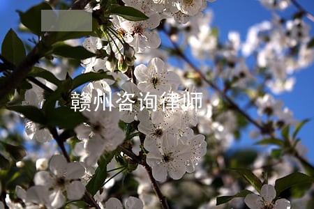 赣州咨询律师 赣州咨询律师