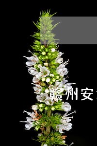 赣州安远县有法律援助吗 赣州安远县有法律援助吗