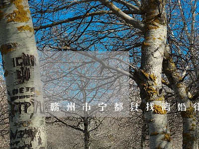 赣州市宁都县找离婚律师 赣州市宁都县找离婚律师