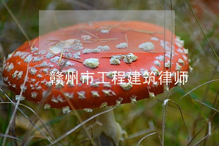 赣州市工程建筑律师 赣州市工程建筑律师